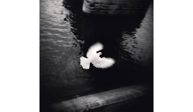 White Bird Flying, Paris, France, 2007 ©Michael Kenna/RAM