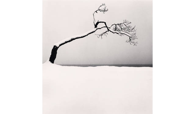 Kussharo Lake Tree, Study 2, Kotan, Hokkaido, Japan. 2005 ©Michael Kenna/RAM