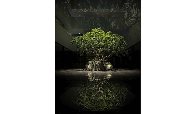 enso-ango_073 Photo by Tomooki Kengaku