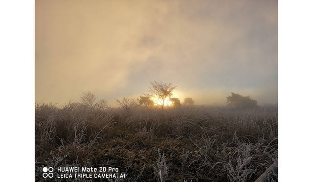 © FUKUOKA HIDETOSHI