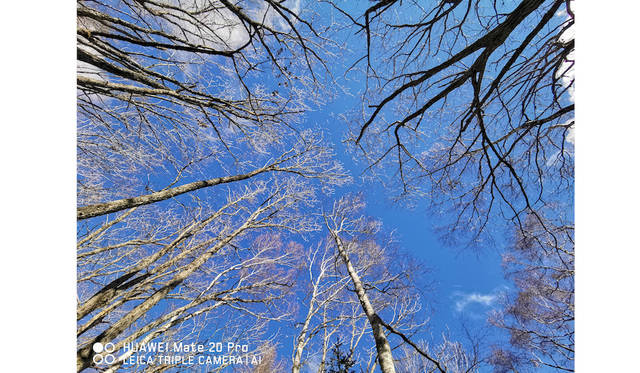 © FUKUOKA HIDETOSHI