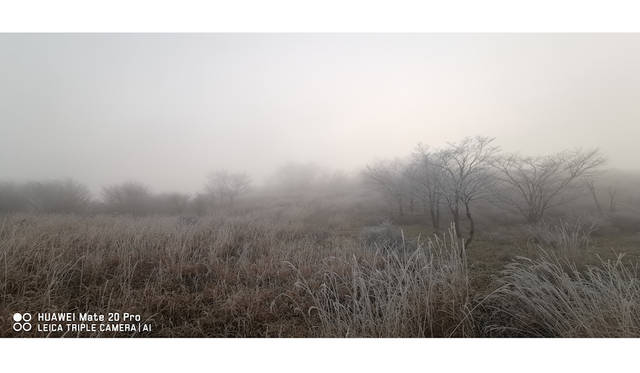 © FUKUOKA HIDETOSHI