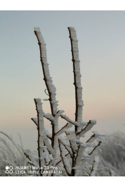 © FUKUOKA HIDETOSHI