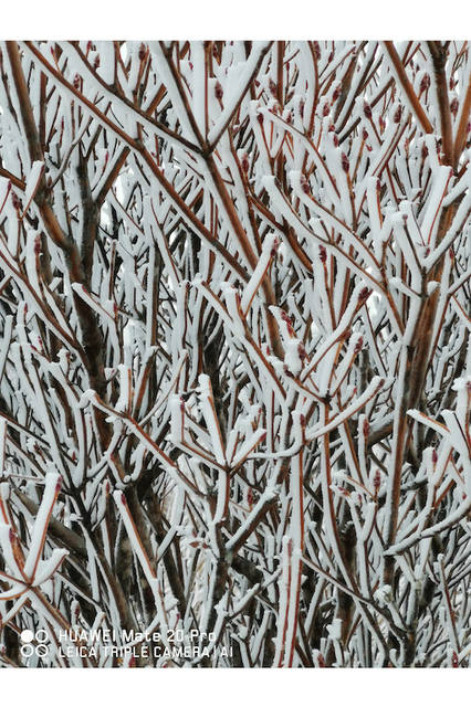 © FUKUOKA HIDETOSHI