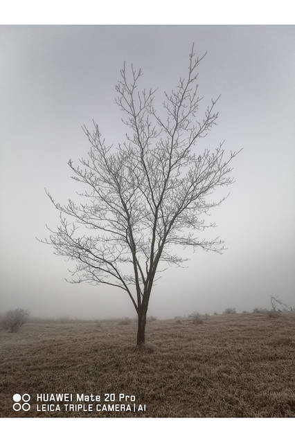 © FUKUOKA HIDETOSHI