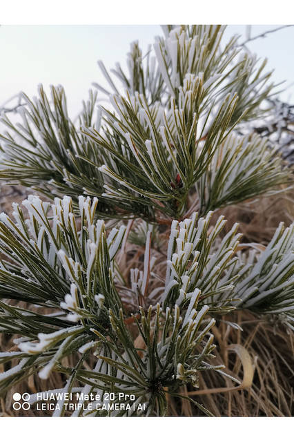 © FUKUOKA HIDETOSHI