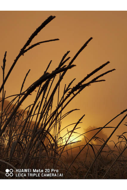 © FUKUOKA HIDETOSHI