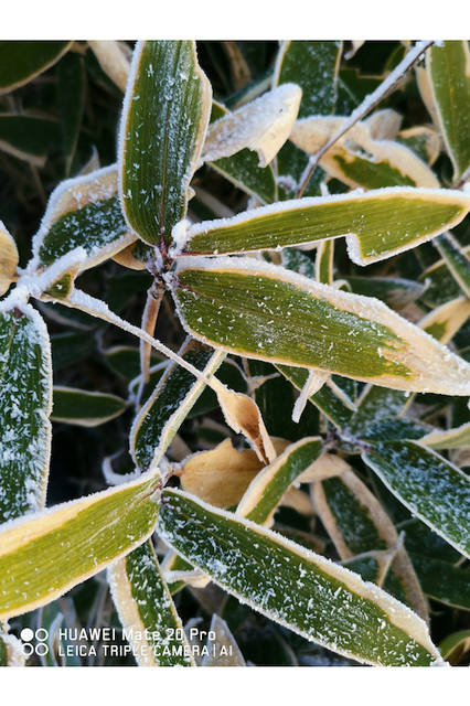 © FUKUOKA HIDETOSHI