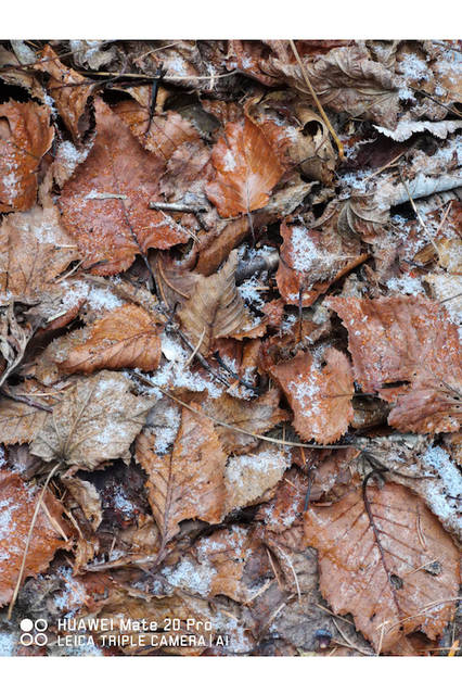 © FUKUOKA HIDETOSHI