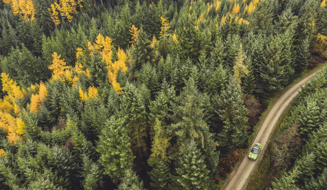 Aston Martin5th / 6th November 2018Photo: Sam Riley