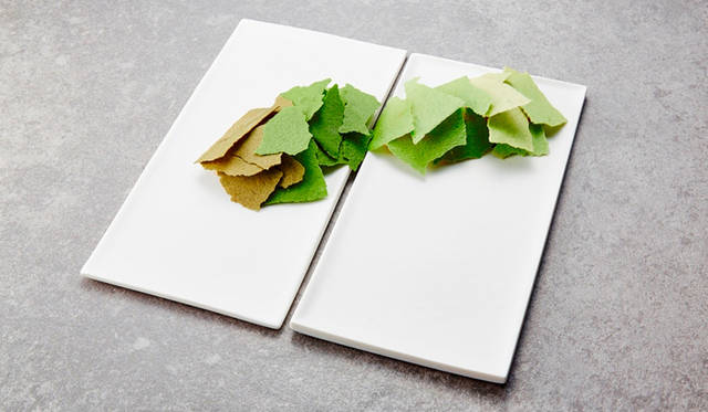 <strong>時の流れ／冷前菜</strong><br>薄緑から濃緑に徐々に移りゆく色彩のコントラストが、時間をかけて夫婦の愛がより濃くなってゆく様を表現した料理。上質なサーモンのマリネに散りばめられたのは、ハーブでグリーンに色付けられた無数のチップスたち。二つのお皿は薄緑のチップスから濃緑のチップスに徐々に移りゆき、出会った頃の淡い気持ちから、二人で重ねた愛情が時間を重ねることで濃くなってゆく様を表現している。また、サーモンには母川回帰という習性があり、離れている時間があるときも二人は繋がり続けていることを表現した。