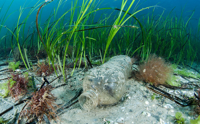 ブライトリング 国際海岸クリーンアップキャンペーン