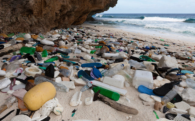 ブライトリング 国際海岸クリーンアップキャンペーン