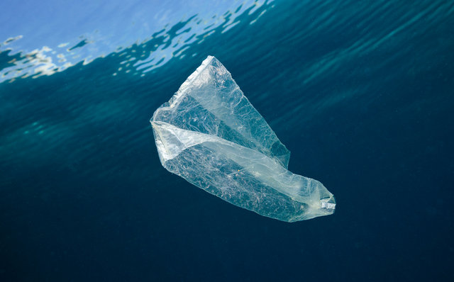 ブライトリング 国際海岸クリーンアップキャンペーン