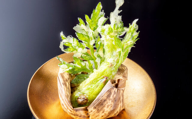 「日本料理 嘉助」山菜の天婦羅 「日本料理 嘉助」山菜の天婦羅