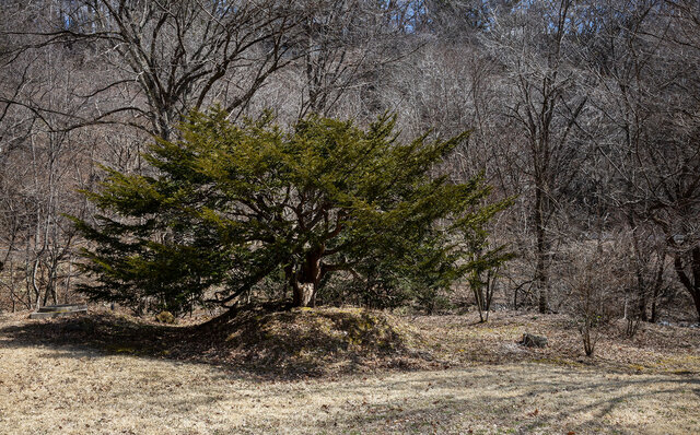 軽井沢の原風景である「谷の集落」を再現 軽井沢の原風景である「谷の集落」を再現