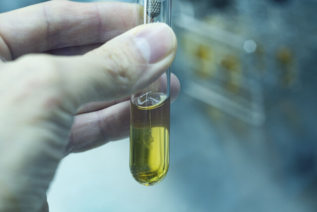 研究_自社酵母開発 研究_自社酵母開発