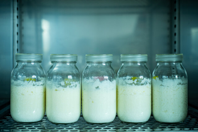 研究_自社酵母開発 研究_自社酵母開発