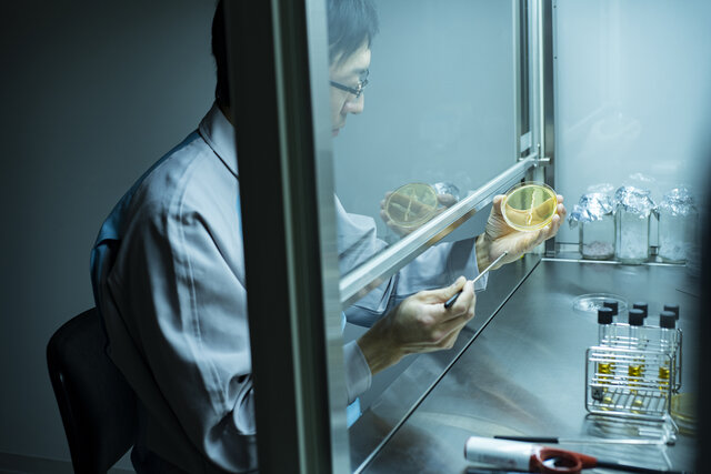 研究_自社酵母開発 研究_自社酵母開発