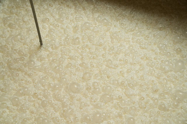 造り_仕込み 造り_仕込み