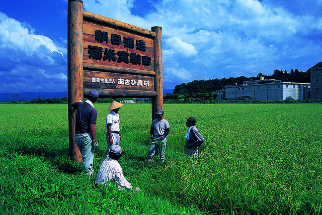 米_あさひ農研 米_あさひ農研