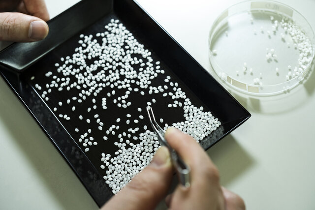 米_精米 米_精米