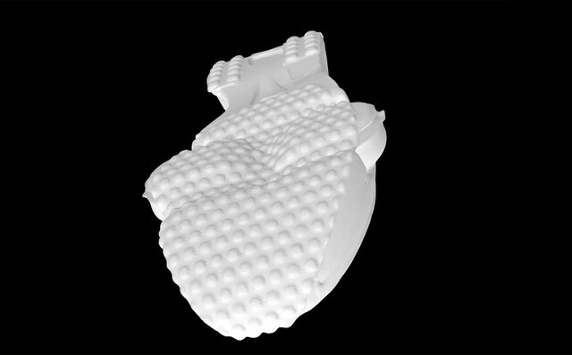 ナイキ エア ズーム タイプ ラバー