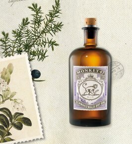 MONKEY 47 モンキー フォーティセブン