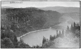 MONKEY 47 モンキー47