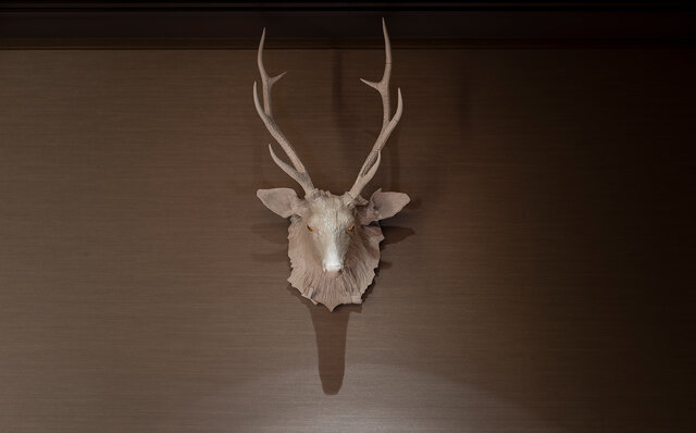 ブレストンコート ユカワタン レストラン ブレストンコート ユカワタン レストラン