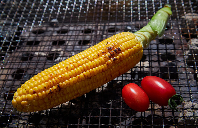 TRAVEL 星野リゾート　リゾナーレ八ヶ岳