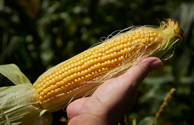 TRAVEL 星野リゾート　リゾナーレ八ヶ岳