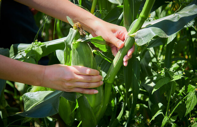 TRAVEL 星野リゾート　リゾナーレ八ヶ岳
