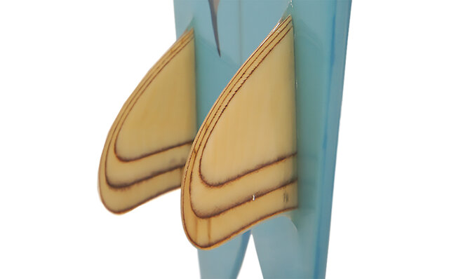 Whale Shark SAN DIEGO FISH