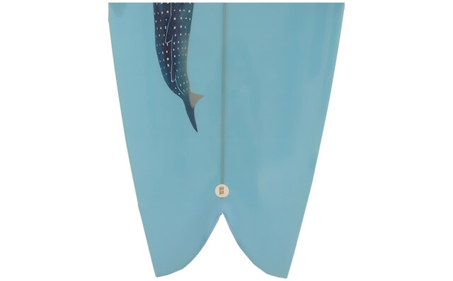 Whale Shark SAN DIEGO FISH