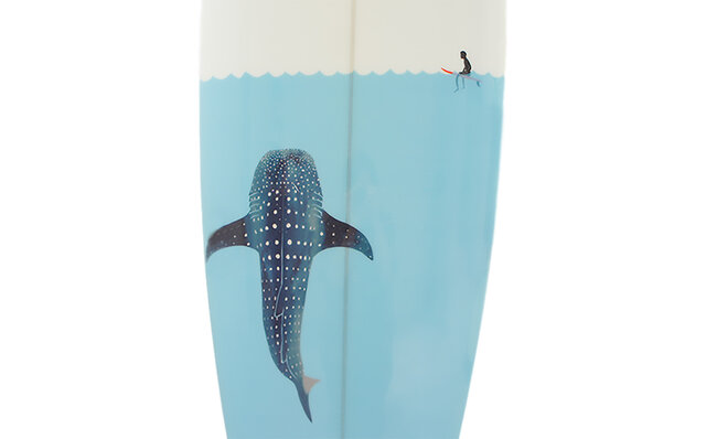 Whale Shark SAN DIEGO FISH