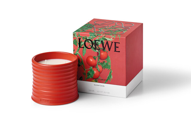 ロエベから初となるホームセンツ コレクションが登場|LOEWE ロエベから初となるホームセンツ コレクションが登場|LOEWE