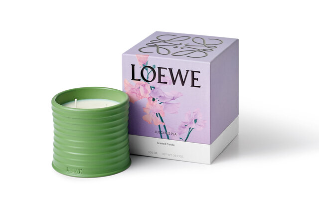 ロエベから初となるホームセンツ コレクションが登場|LOEWE ロエベから初となるホームセンツ コレクションが登場|LOEWE