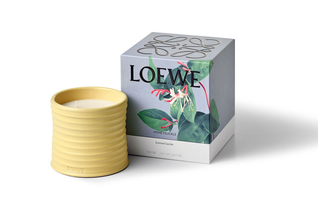 ロエベから初となるホームセンツ コレクションが登場|LOEWE ロエベから初となるホームセンツ コレクションが登場|LOEWE