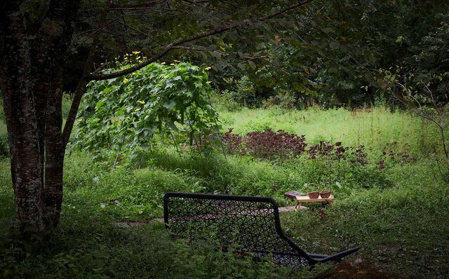 星野リゾート リゾナーレ那須 星野リゾート リゾナーレ那須