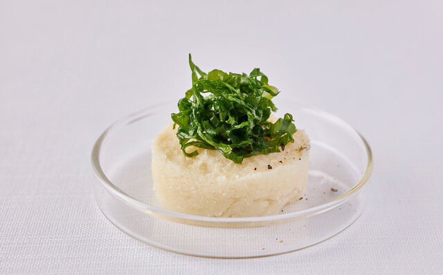 星野リゾート リゾナーレ那須 星野リゾート リゾナーレ那須