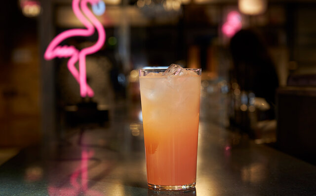 睡眠クオリティを高める顧客満足度No.1の「コアラマットレス」を、モクシー大阪本町で体験｜koala