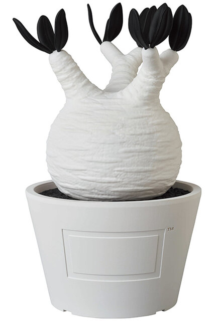 BOTANIZEとのコラボで塊根植物をフィギュア化|MEDICOM TOY BOTANIZEとのコラボで塊根植物をフィギュア化|MEDICOM TOY