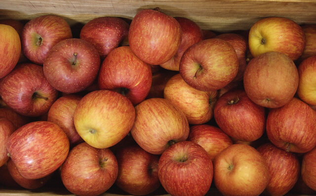 プレミアムアイス専門店「POIRE des rois GINZA」がオンラインバーチャルショップをオープン|EAT プレミアムアイス専門店「POIRE des rois GINZA」がオンラインバーチャルショップをオープン|EAT