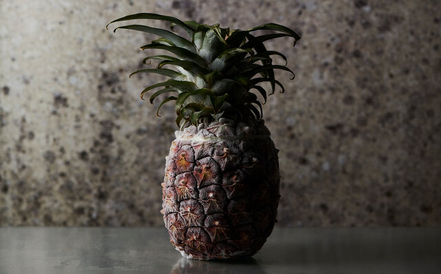 プレミアムアイス専門店「POIRE des rois GINZA」がオンラインバーチャルショップをオープン|EAT プレミアムアイス専門店「POIRE des rois GINZA」がオンラインバーチャルショップをオープン|EAT