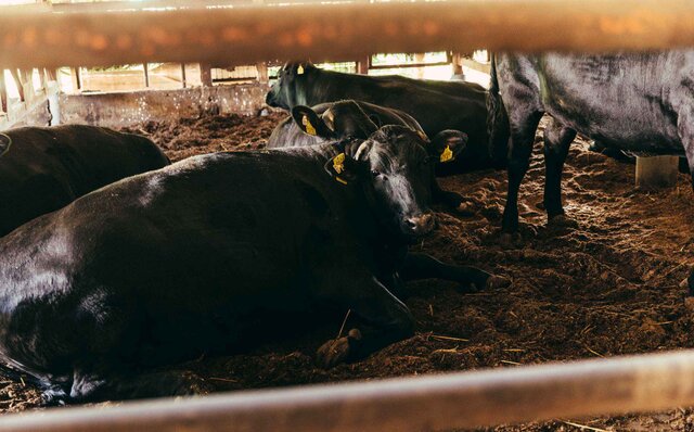 連載 第1回　森のグラン・オーベルジュ「THE HIRAMATSU 軽井沢 御代田」とは？　その秘密に迫る！｜HIRAMATSU HOTELS