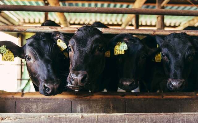 連載 第1回　森のグラン・オーベルジュ「THE HIRAMATSU 軽井沢 御代田」とは？　その秘密に迫る！｜HIRAMATSU HOTELS