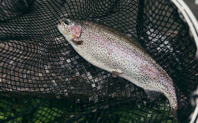 連載 第1回　森のグラン・オーベルジュ「THE HIRAMATSU 軽井沢 御代田」とは？　その秘密に迫る！｜HIRAMATSU HOTELS