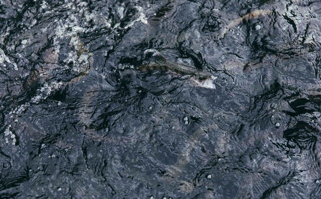 連載 第1回　森のグラン・オーベルジュ「THE HIRAMATSU 軽井沢 御代田」とは？　その秘密に迫る！｜HIRAMATSU HOTELS