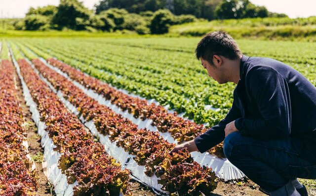 連載 第1回　森のグラン・オーベルジュ「THE HIRAMATSU 軽井沢 御代田」とは？　その秘密に迫る！｜HIRAMATSU HOTELS